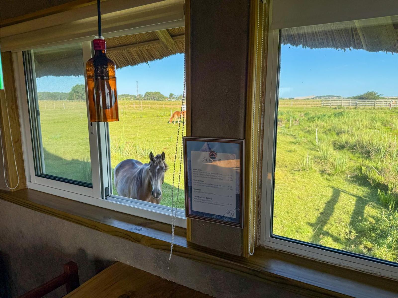 Los Chaja Ecolodge บาร์ฮา จิ วาลิซาส ภายนอก รูปภาพ